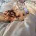 Carol Suhr - Facebook