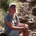 Carol Sullivan - @carolsullivan347 - Instagram