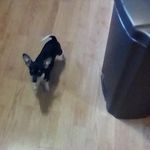 Carol Gross Summerfield - @grosssummerfield - Instagram