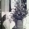 Carol Summers110 - @carolsummers110 - TikTok