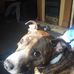 Carol Summers - Facebook