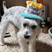 Carol Summers - Facebook