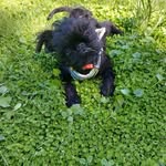 Carol Sumner - @carolsumner - Instagram