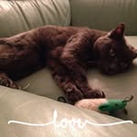 Carol Sumner - @carol.jackson.58152 - Instagram