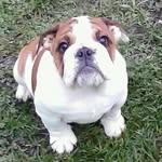 Carol Sumner Kroll - @carol.s.kroll - Instagram