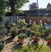 Carole Sumner - Facebook