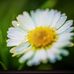 Carol Sumpter - Facebook
