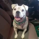 Carol Sumrall - @g8rsmom - Instagram