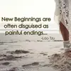 Carol Sundin - @2157354687 - TikTok