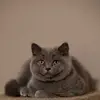 Caroline TN Sundin - @caroline.tn.sundi - TikTok