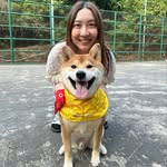Carol Sung - @carolsung - Instagram