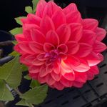 Carol Sussman - @sussman.c - Instagram