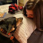 carol sussman ditkowich - @carolsussman - Instagram