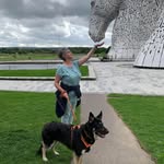 Carol Sutcliffe - @cazsut1 - Instagram