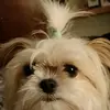Caroline Sutcliffe - @user9225966 - TikTok