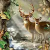 carolyn swanger - @carolyn.swanger - TikTok
