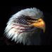 Carol Taber - Facebook