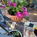 Carol Taber - Facebook