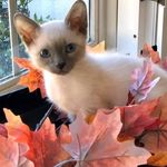 @carol.tackett2021 - Instagram