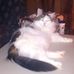 Carolyn Tadlock - Facebook
