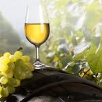 Carol Tait - @tasteofthewinecountry - Instagram