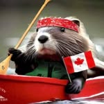 Carol Tait - @carol.tait.58 - Instagram