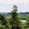caroldtalbert - @caroldtalbert - TikTok