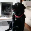 Carol Talbot - @zarathelab_05 - TikTok