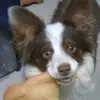 Carolyn Talbott - @carolyn.talbott - TikTok