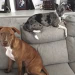 Carol Tanzer Wallace - @carol_tanzer_wallace - Instagram