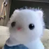 carol - @carolteng._ - TikTok