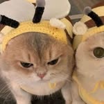 carol teng - @carol._.teng_ - Instagram