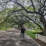 Carol Teng - @caroltengt - Instagram