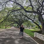 Carol Teng - Facebook