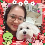 Carol Teng - @carolteng716 - Instagram