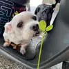 Carol Teng - @carol240868 - TikTok