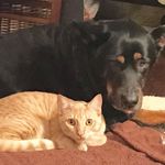 Carol Tharp Mcgrath - @caroltharpmcgrath - Instagram