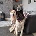 Carol Thornton - Facebook
