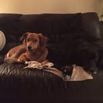 Carol Tobin - @carlyt_109 - Instagram