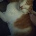 Carol Townsend - Facebook