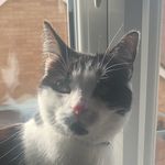Carol Townsend - @carol.townsend.37 - Instagram