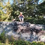 Carol tozer - @carol.tozer - Instagram