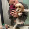 caroline - @carolinetozer_ - TikTok