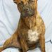 Carolyn Tozer - Facebook