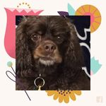 Carol Trapp - @carol.trapp.98 - Instagram