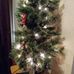 Carol Trapp - Facebook
