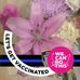 Carol Trapp - Facebook