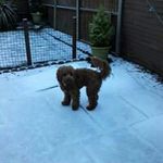 Carol Tully - @caroltully1958 - Instagram