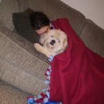 Carol Tully - @carol_tully - Instagram
