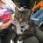 Carol Tully - @carol.tully.96 - Instagram